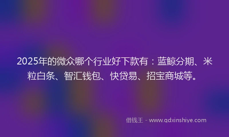 2025年的微众哪个行业好下款有：蓝鲸分期、米粒白条、智汇钱包、快贷易、招宝商城等。