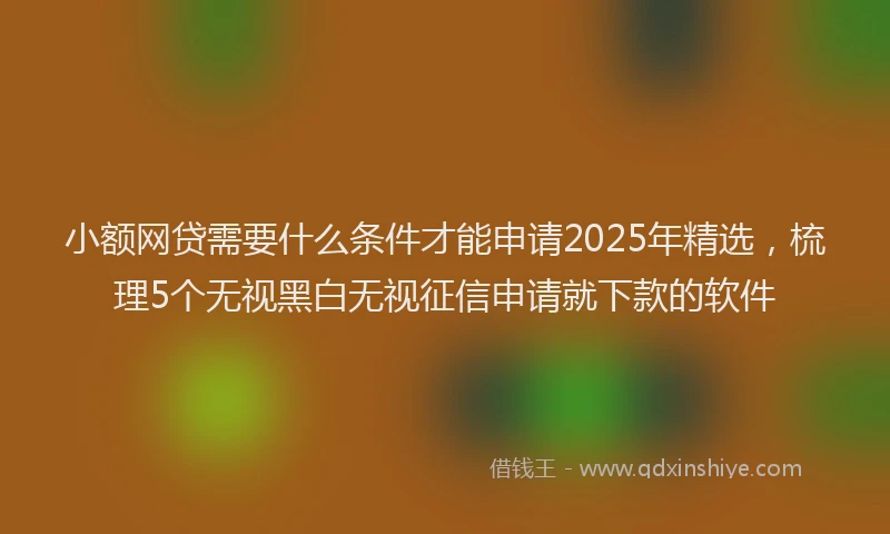 小额网贷需要什么条件才能申请2025年精选，梳理5个无视黑白无视征信申请就下款的软件