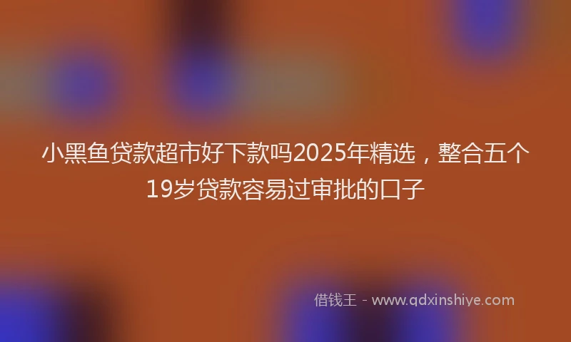 小黑鱼贷款超市好下款吗2025年精选，整合五个19岁贷款容易过审批的口子