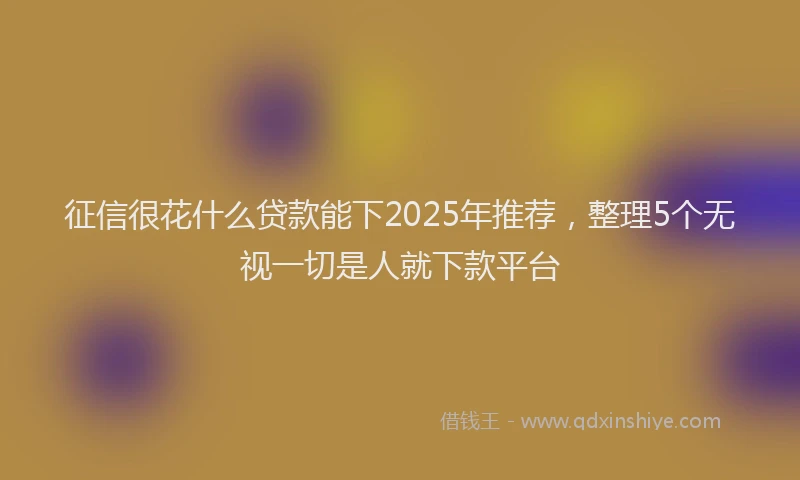 征信很花什么贷款能下2025年推荐，整理5个无视一切是人就下款平台