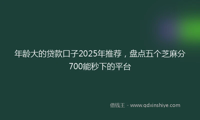 年龄大的贷款口子2025年推荐，盘点五个芝麻分700能秒下的平台