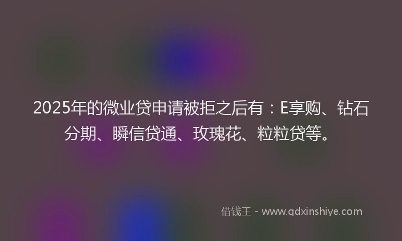 2025年的微业贷申请被拒之后有：E享购、钻石分期、瞬信贷通、玫瑰花、粒粒贷等。