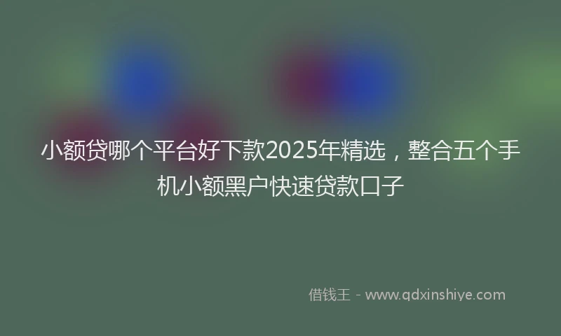 小额贷哪个平台好下款2025年精选，整合五个手机小额黑户快速贷款口子
