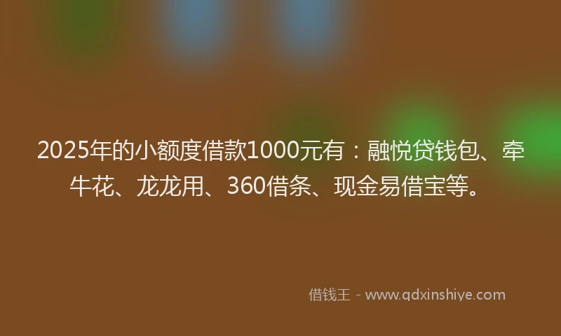 2025年的小额度借款1000元有：融悦贷钱包、牵牛花、龙龙用、360借条、现金易借宝等。