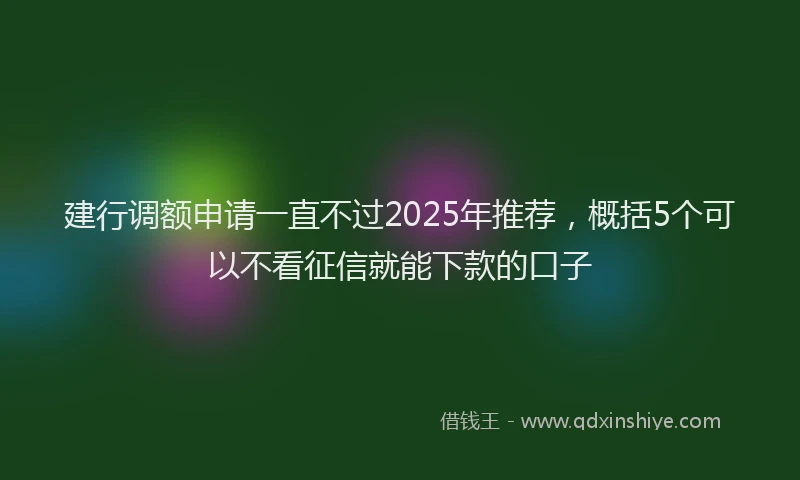 建行调额申请一直不过2025年推荐，概括5个可以不看征信就能下款的口子