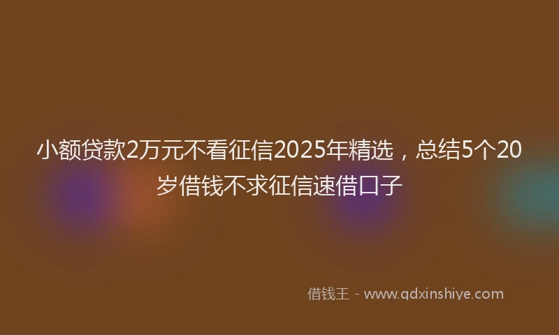小额贷款2万元不看征信2025年精选，总结5个20岁借钱不求征信速借口子