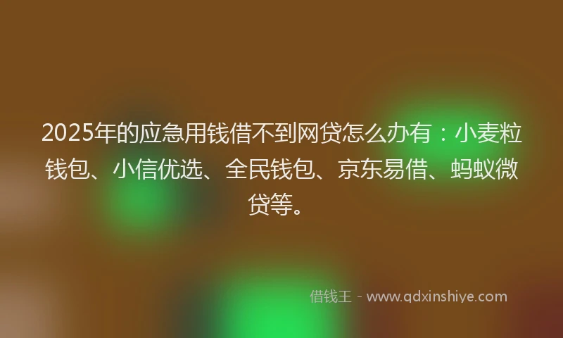 2025年的应急用钱借不到网贷怎么办有：小麦粒钱包、小信优选、全民钱包、京东易借、蚂蚁微贷等。