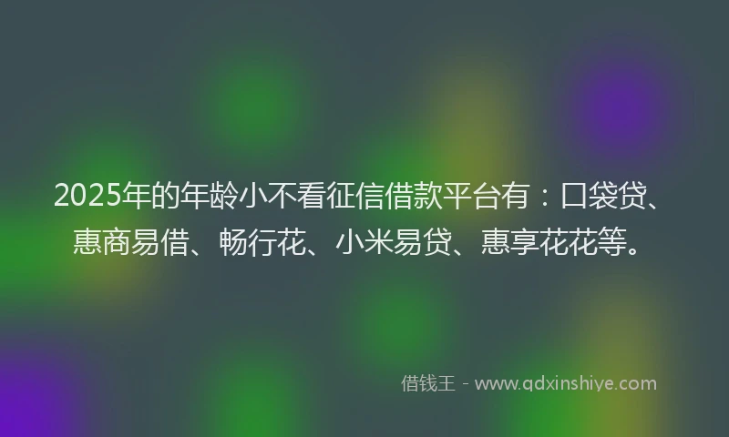 2025年的年龄小不看征信借款平台有：口袋贷、惠商易借、畅行花、小米易贷、惠享花花等。
