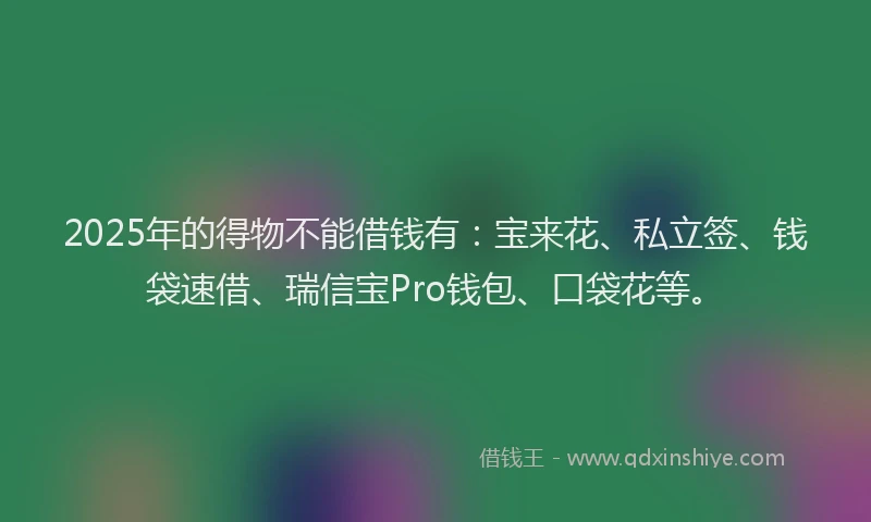2025年的得物不能借钱有：宝来花、私立签、钱袋速借、瑞信宝Pro钱包、口袋花等。