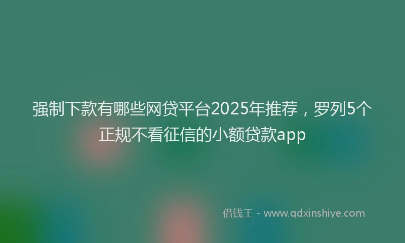 强制下款有哪些网贷平台2025年推荐，罗列5个正规不看征信的小额贷款app