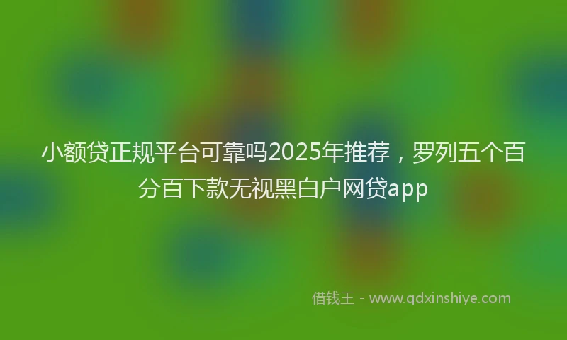 小额贷正规平台可靠吗2025年推荐，罗列五个百分百下款无视黑白户网贷app