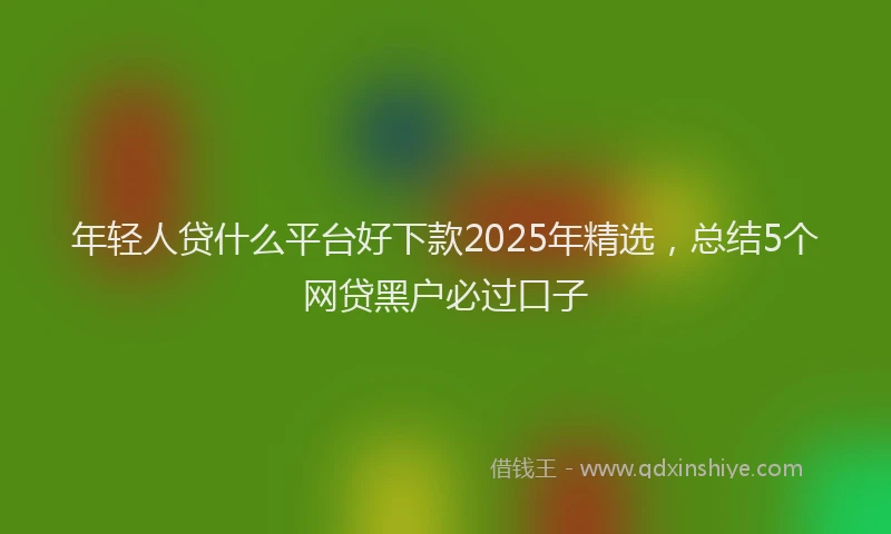 年轻人贷什么平台好下款2025年精选，总结5个网贷黑户必过口子