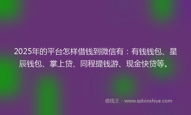 2025年的平台怎样借钱到微信有：有钱钱包、星辰钱包、掌上贷、同程提钱游、现金快贷等。