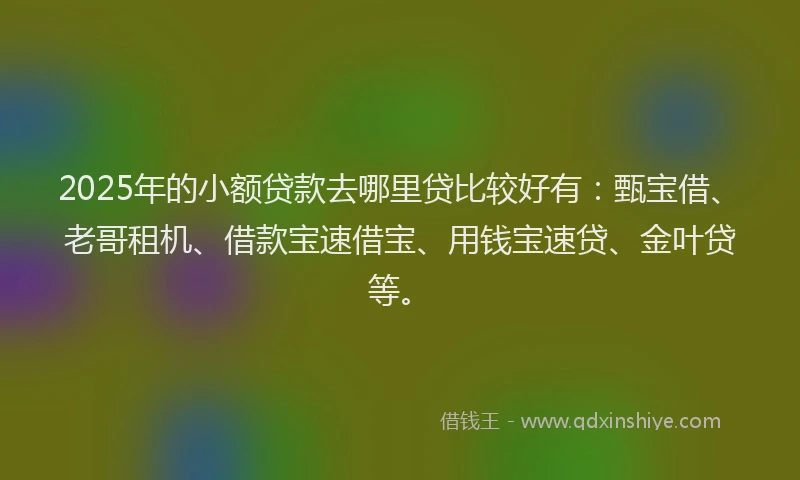 2025年的小额贷款去哪里贷比较好有：甄宝借、老哥租机、借款宝速借宝、用钱宝速贷、金叶贷等。