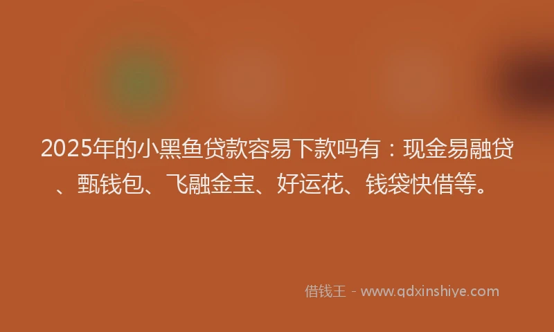 2025年的小黑鱼贷款容易下款吗有：现金易融贷、甄钱包、飞融金宝、好运花、钱袋快借等。