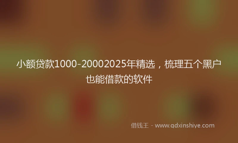 小额贷款1000-20002025年精选，梳理五个黑户也能借款的软件