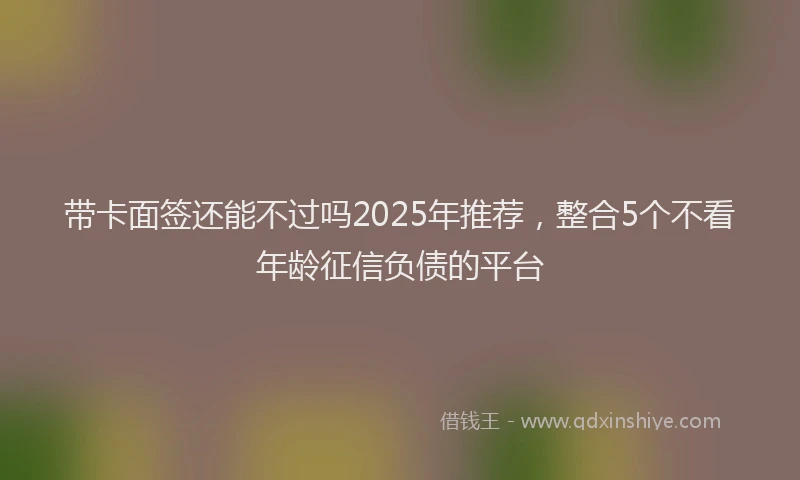 带卡面签还能不过吗2025年推荐，整合5个不看年龄征信负债的平台