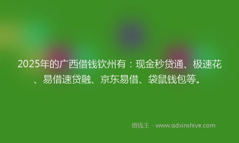 2025年的广西借钱钦州有：现金秒贷通、极速花、易借速贷融、京东易借、袋鼠钱包等。