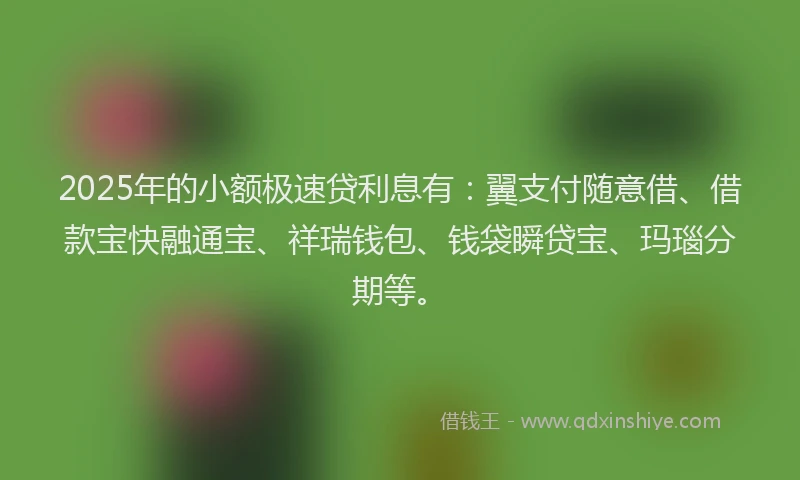 2025年的小额极速贷利息有：翼支付随意借、借款宝快融通宝、祥瑞钱包、钱袋瞬贷宝、玛瑙分期等。