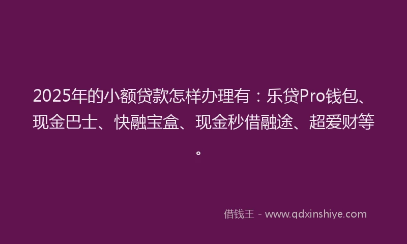 2025年的小额贷款怎样办理有：乐贷Pro钱包、现金巴士、快融宝盒、现金秒借融途、超爱财等。