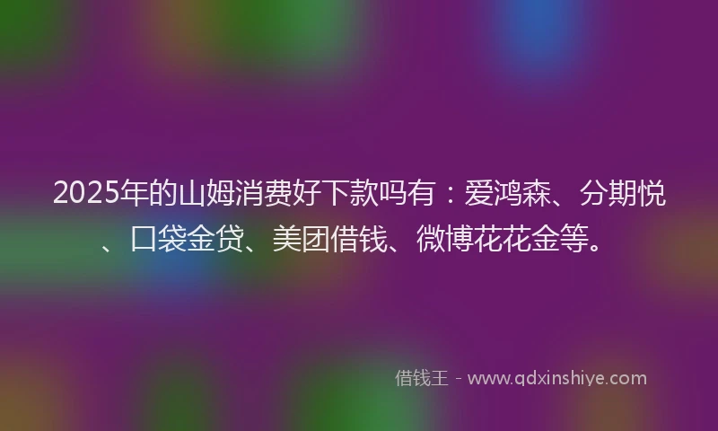2025年的山姆消费好下款吗有：爱鸿森、分期悦、口袋金贷、美团借钱、微博花花金等。