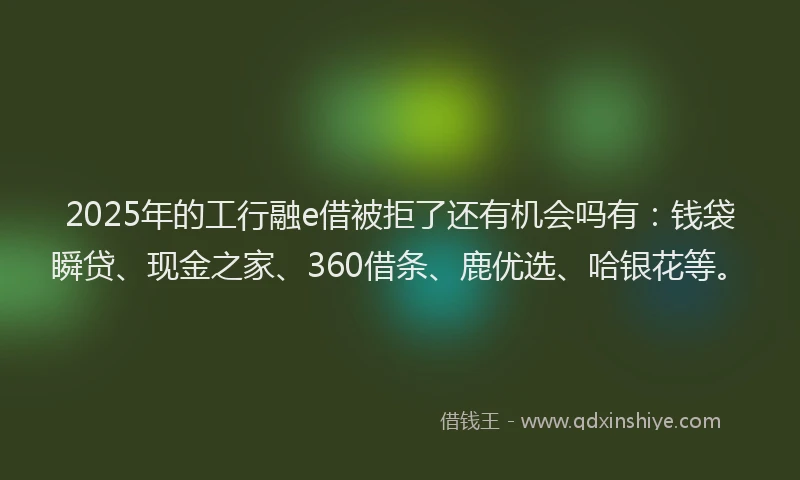 2025年的工行融e借被拒了还有机会吗有：钱袋瞬贷、现金之家、360借条、鹿优选、哈银花等。