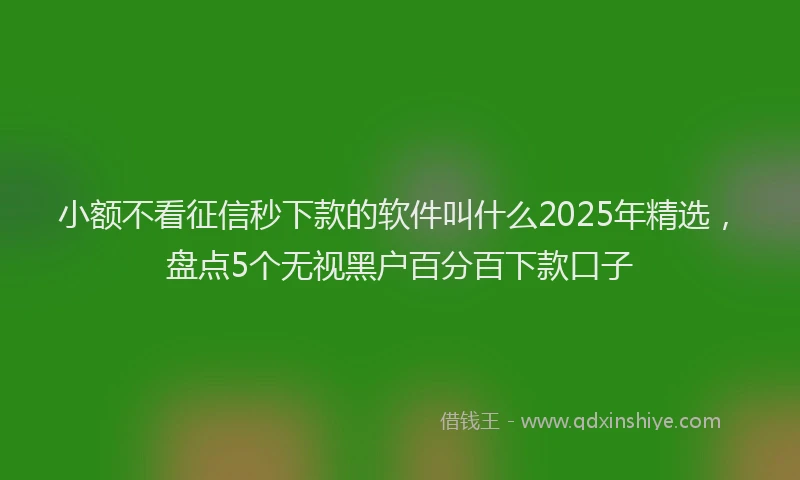 小额不看征信秒下款的软件叫什么2025年精选，盘点5个无视黑户百分百下款口子