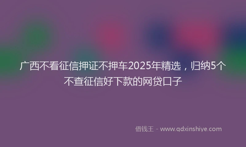 广西不看征信押证不押车2025年精选，归纳5个不查征信好下款的网贷口子