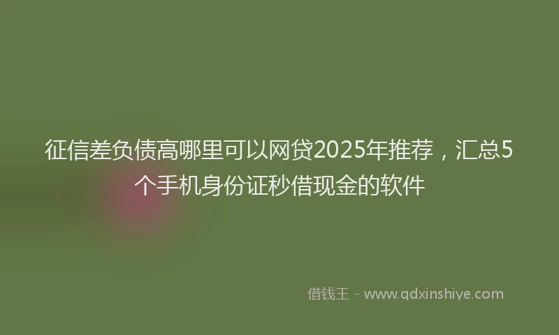 征信差负债高哪里可以网贷2025年推荐，汇总5个手机身份证秒借现金的软件