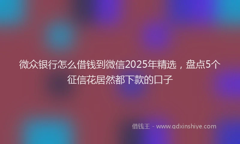 微众银行怎么借钱到微信2025年精选，盘点5个征信花居然都下款的口子