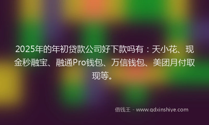 2025年的年初贷款公司好下款吗有：天小花、现金秒融宝、融通Pro钱包、万信钱包、美团月付取现等。