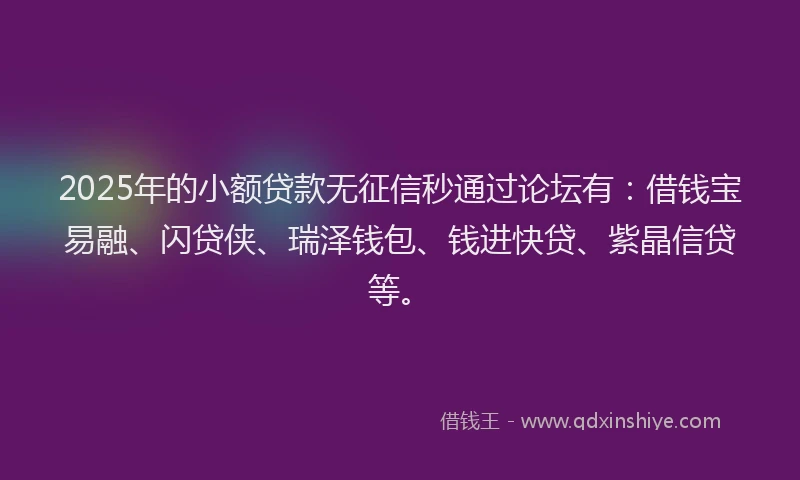 2025年的小额贷款无征信秒通过论坛有：借钱宝易融、闪贷侠、瑞泽钱包、钱进快贷、紫晶信贷等。