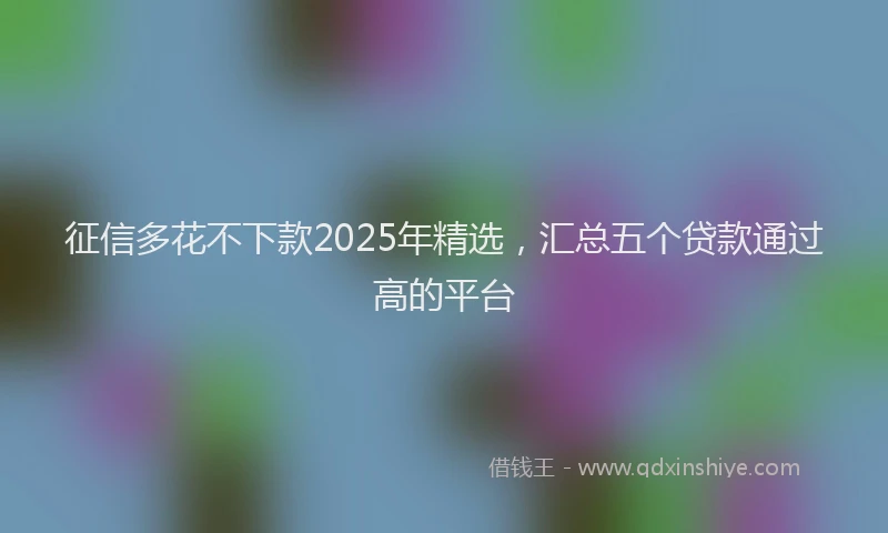征信多花不下款2025年精选，汇总五个贷款通过高的平台