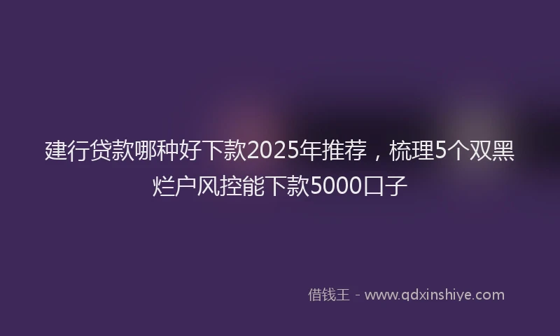 建行贷款哪种好下款2025年推荐，梳理5个双黑烂户风控能下款5000口子