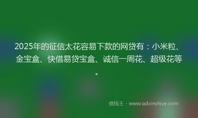 2025年的征信太花容易下款的网贷有：小米粒、金宝盒、快借易贷宝盒、诚信一周花、超级花等。