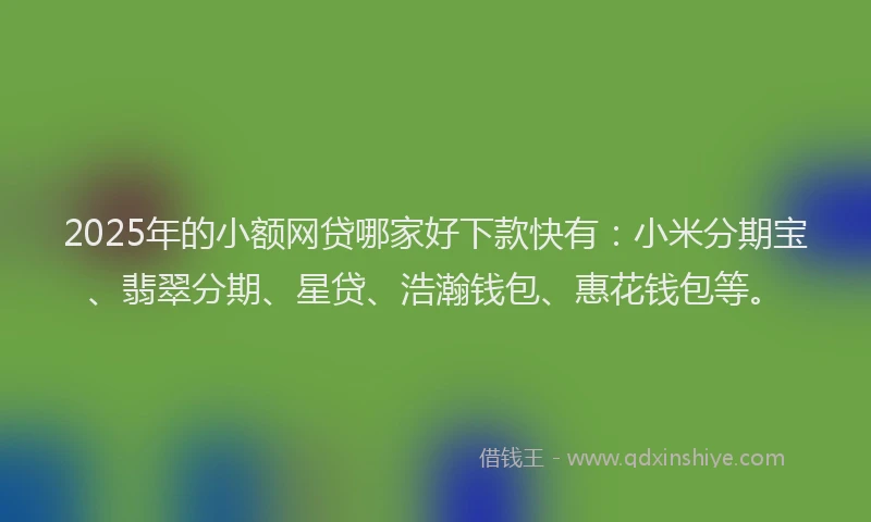 2025年的小额网贷哪家好下款快有：小米分期宝、翡翠分期、星贷、浩瀚钱包、惠花钱包等。
