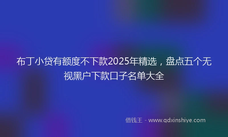 布丁小贷有额度不下款2025年精选，盘点五个无视黑户下款口子名单大全