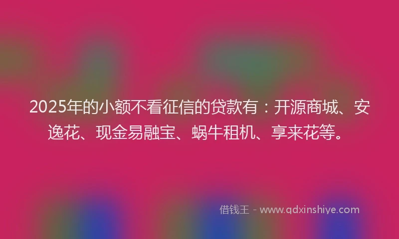 2025年的小额不看征信的贷款有：开源商城、安逸花、现金易融宝、蜗牛租机、享来花等。