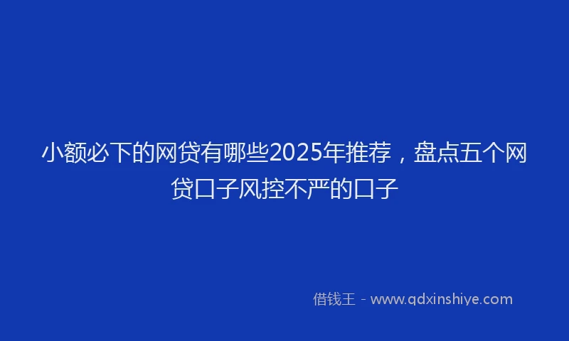 小额必下的网贷有哪些2025年推荐，盘点五个网贷口子风控不严的口子
