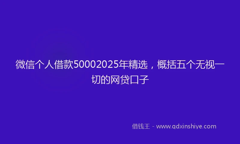 微信个人借款50002025年精选，概括五个无视一切的网贷口子
