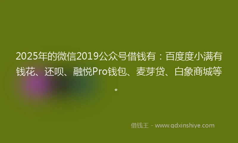 2025年的微信2019公众号借钱有：百度度小满有钱花、还呗、融悦Pro钱包、麦芽贷、白象商城等。