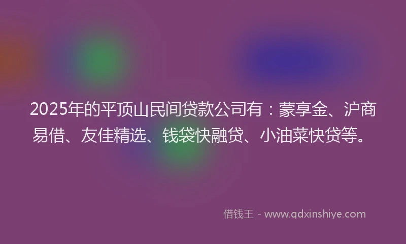 2025年的平顶山民间贷款公司有：蒙享金、沪商易借、友佳精选、钱袋快融贷、小油菜快贷等。