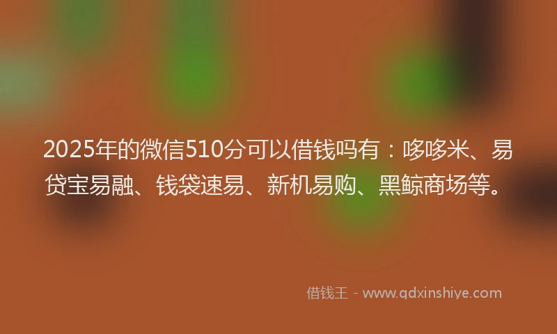 2025年的微信510分可以借钱吗有：哆哆米、易贷宝易融、钱袋速易、新机易购、黑鲸商场等。