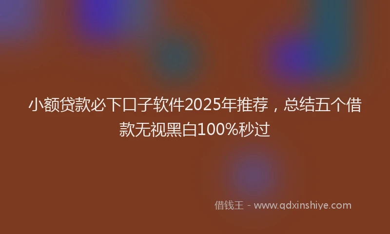 小额贷款必下口子软件2025年推荐，总结五个借款无视黑白100%秒过