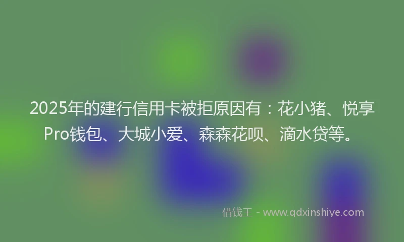 2025年的建行信用卡被拒原因有：花小猪、悦享Pro钱包、大城小爱、森森花呗、滴水贷等。