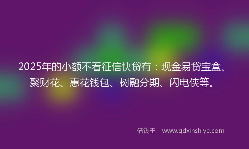 2025年的小额不看征信快贷有：现金易贷宝盒、聚财花、惠花钱包、树融分期、闪电侠等。