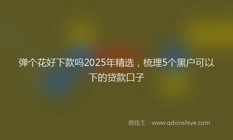 弹个花好下款吗2025年精选，梳理5个黑户可以下的贷款口子