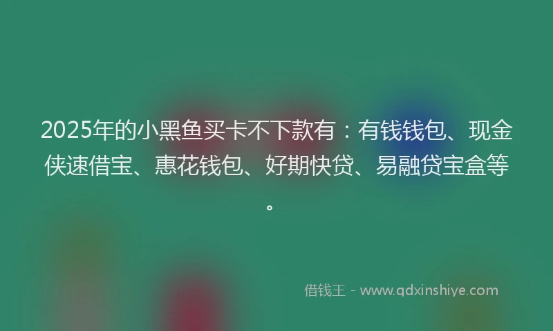 2025年的小黑鱼买卡不下款有：有钱钱包、现金侠速借宝、惠花钱包、好期快贷、易融贷宝盒等。