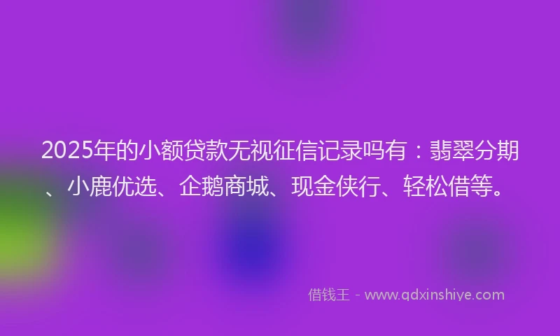 2025年的小额贷款无视征信记录吗有：翡翠分期、小鹿优选、企鹅商城、现金侠行、轻松借等。