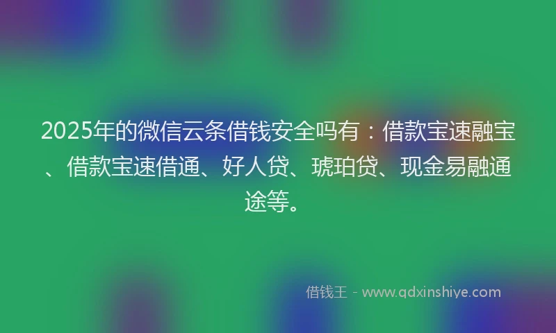 2025年的微信云条借钱安全吗有：借款宝速融宝、借款宝速借通、好人贷、琥珀贷、现金易融通途等。
